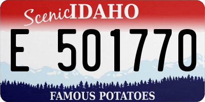 ID license plate E501770