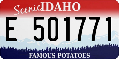 ID license plate E501771