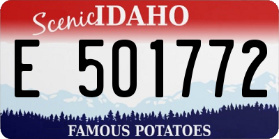 ID license plate E501772