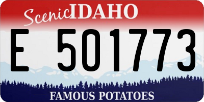 ID license plate E501773