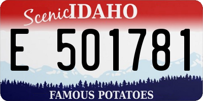 ID license plate E501781