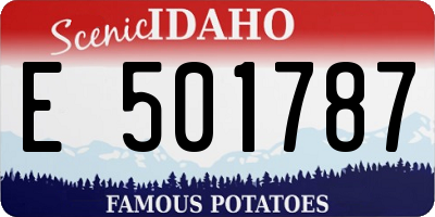 ID license plate E501787