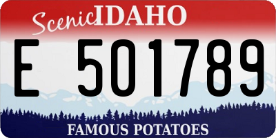 ID license plate E501789