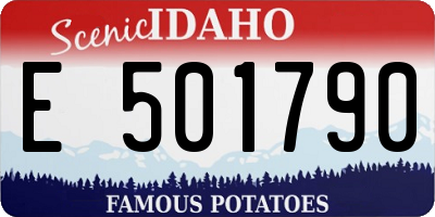 ID license plate E501790