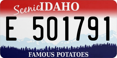 ID license plate E501791
