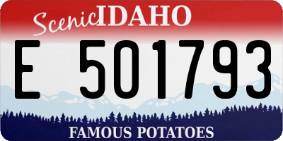 ID license plate E501793