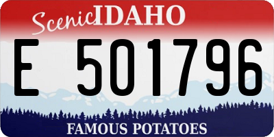 ID license plate E501796
