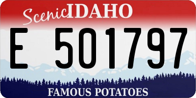 ID license plate E501797