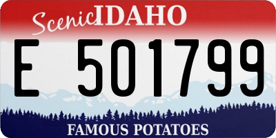 ID license plate E501799