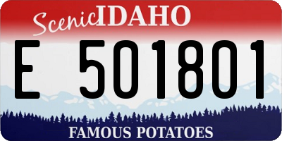 ID license plate E501801