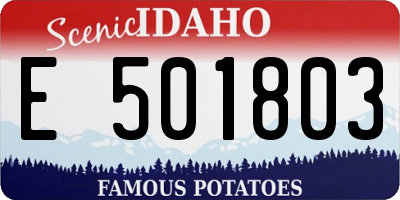 ID license plate E501803