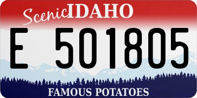 ID license plate E501805