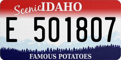 ID license plate E501807