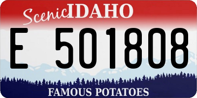 ID license plate E501808