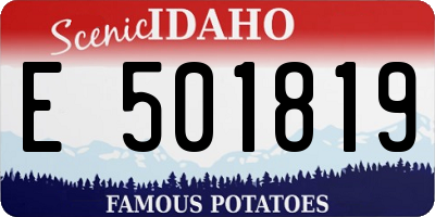 ID license plate E501819