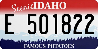 ID license plate E501822
