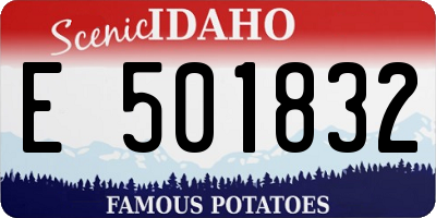 ID license plate E501832