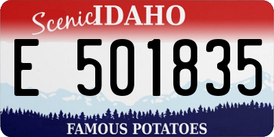 ID license plate E501835