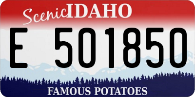 ID license plate E501850