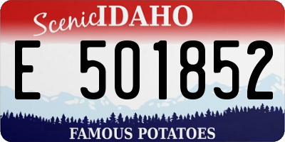 ID license plate E501852