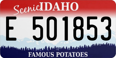 ID license plate E501853