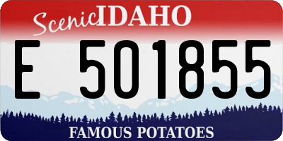 ID license plate E501855