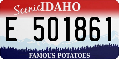 ID license plate E501861