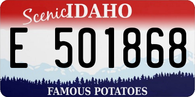 ID license plate E501868