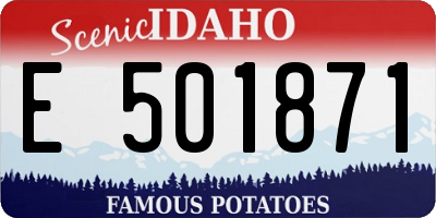 ID license plate E501871