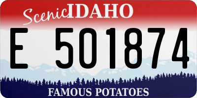 ID license plate E501874