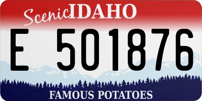 ID license plate E501876