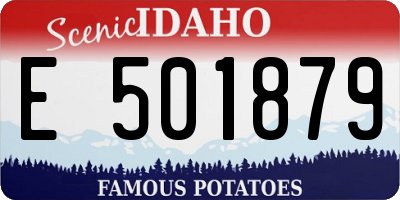 ID license plate E501879