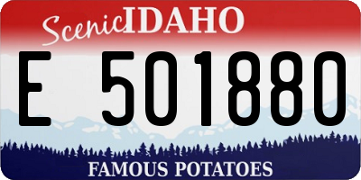ID license plate E501880