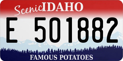 ID license plate E501882
