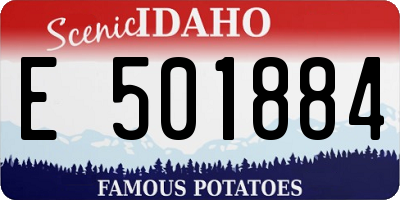 ID license plate E501884