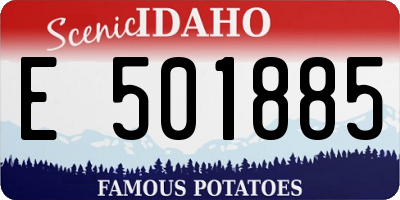 ID license plate E501885