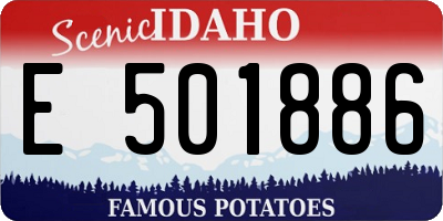 ID license plate E501886
