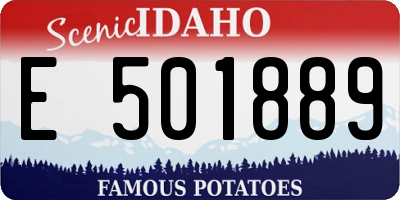 ID license plate E501889