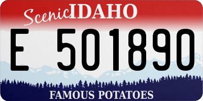 ID license plate E501890