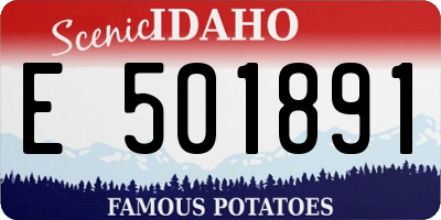 ID license plate E501891