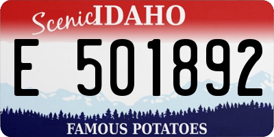 ID license plate E501892