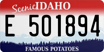 ID license plate E501894