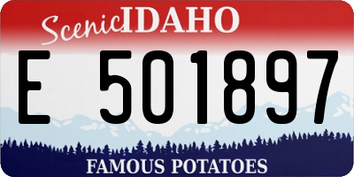 ID license plate E501897