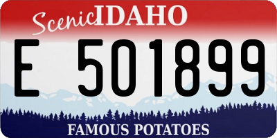 ID license plate E501899