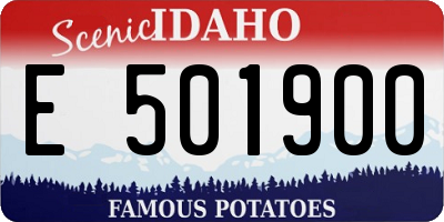 ID license plate E501900