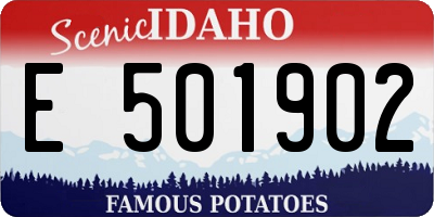 ID license plate E501902