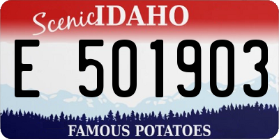ID license plate E501903