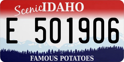 ID license plate E501906