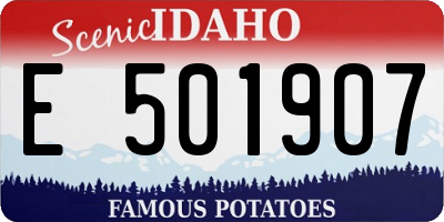 ID license plate E501907
