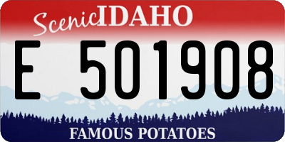 ID license plate E501908